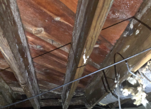 Mold Restoration - Independent Restoration Services