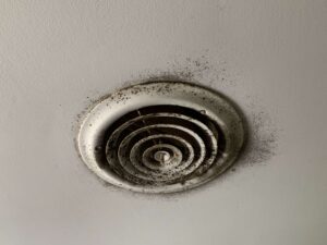 1619915804_IMG5380 copy - Independent Restoration Services