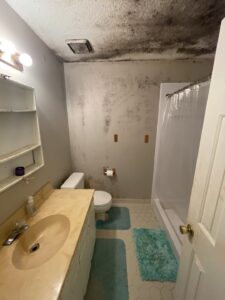 This image shows significant mold growing in a bathroom on the walls and ceiling - Independent Restoration Services - Built On Service - Steps to mold removal.