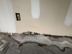 This image shows significant floor and wall mold caused by flooding - Independent Restoration Services - Built On Service - Steps to mold removal.
