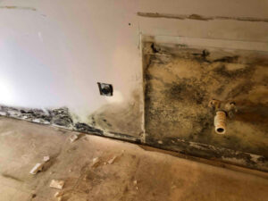 This image shows significant floor and wall mold behind dishwasher - Independent Restoration Services - Built On Service - Steps to mold removal.