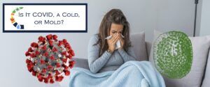 Wondering If It's COVID, a cold, or mold? - Independent Restoration Services